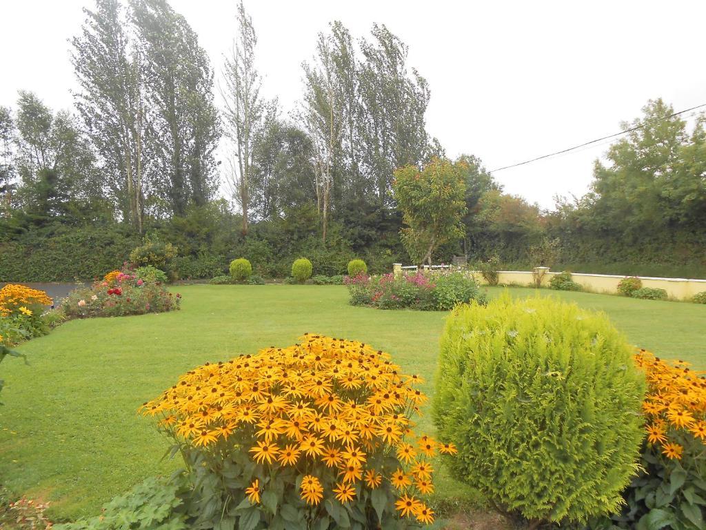 Gallows View Bed & Breakfast Bunratty Kamer foto